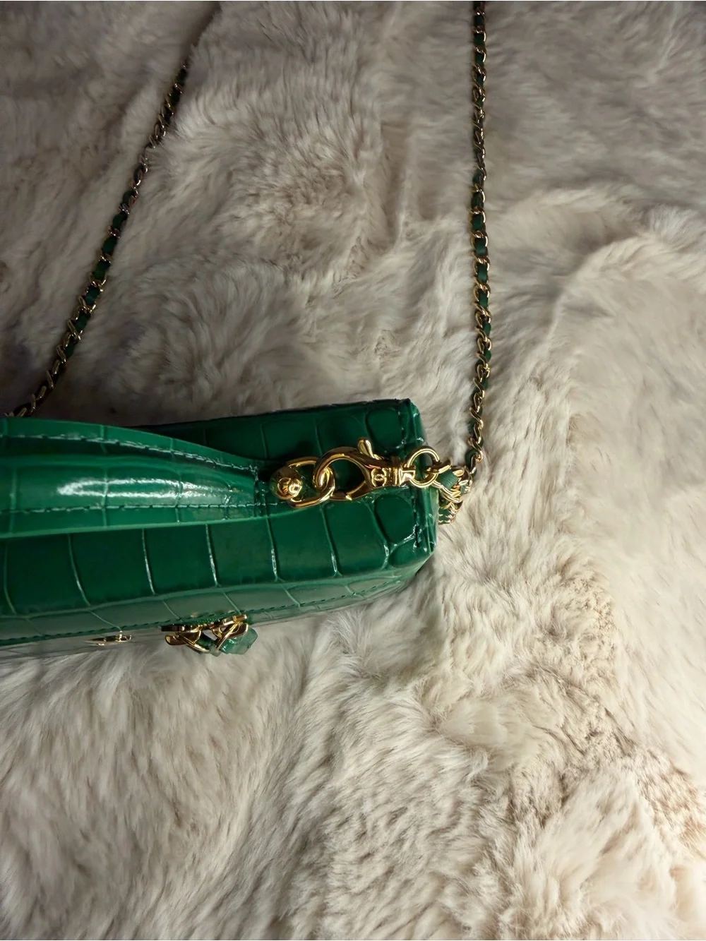 CHANEL Emerald Green Croc-Embossed Slim Vanity Bag with Gold Hardware